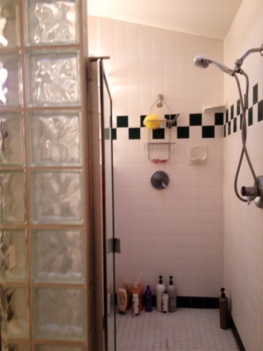 Allyn, WA | Bathroom Remodeling Project